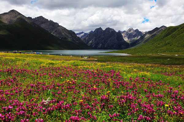 成都租車(chē)川西北環(huán)線7日游+-年保玉則+草原花海+九寨溝